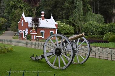 Botanical Garden, Ooty_DSC5578_H600